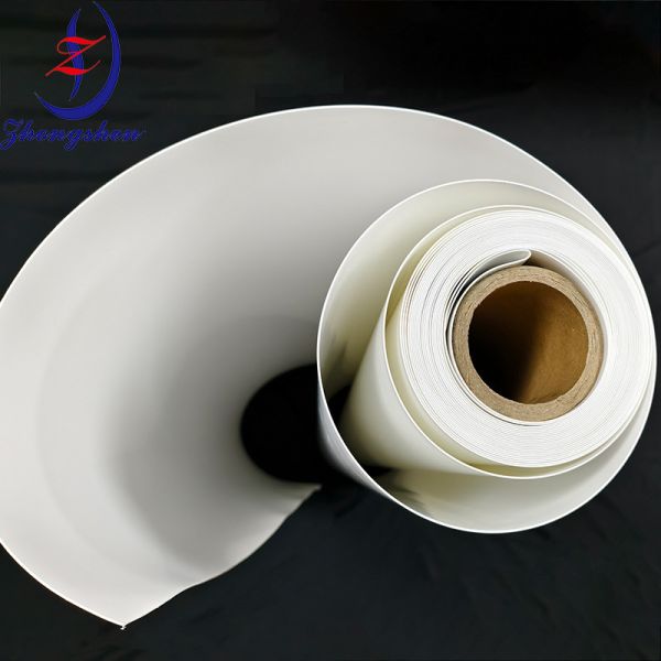 Quality Premium Quality Manure Transfer Belts for Poultry Farm Types wholesale