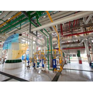 Turnkey Edible Oil Extraction Equipment Corn Germ Oil Pressing