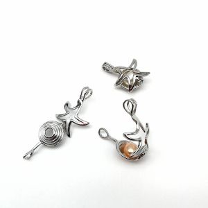 Pearl Cage Bead Cage Essential Oil Diffuser Locket Pendant Jewelry Making Oyster Pearl