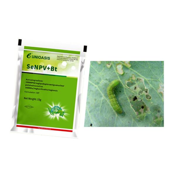 Quality Organic Certification Biopesticide SeNPV Bt Kill Beet Armyworm Vegetable Garden wholesale