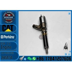 fuel injector 10R-7672 2645A718 10R-7673 10R-7676 2645A734 295-9130 382-0480 282