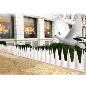 Outdoor Indoor OEM Plastic Anti Pigeon Spikes Eco Friendly Reusable Bird