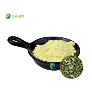 Wholesale High Quality Sophora Japonica Extract 95% 98% Quercetin