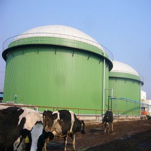 Customized Capacity Double Membrane Biogas Gas Holder UV Resistance