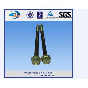 Cheap Grade 4.6 5.6 8.8 Railway Bolt / Track Fish Bolt With Oxide Black for sale