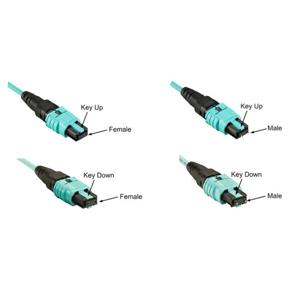 MPO MTP Fiber Optical Connector