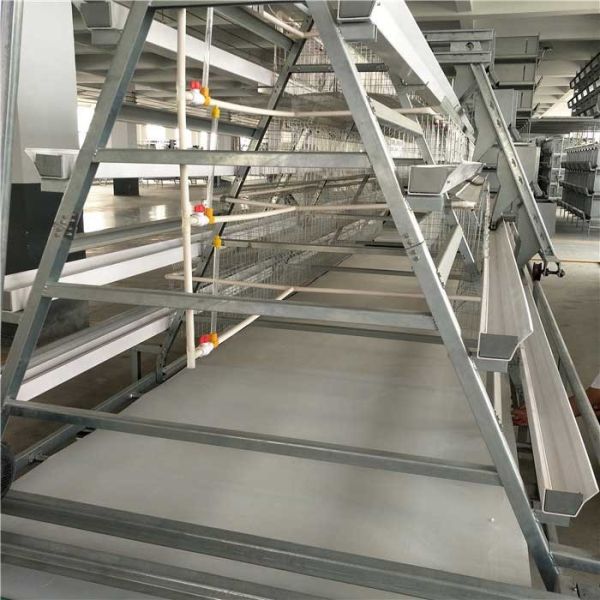 Quality Small Footprint Automatic Manure Removal System Energy / Land Saving wholesale