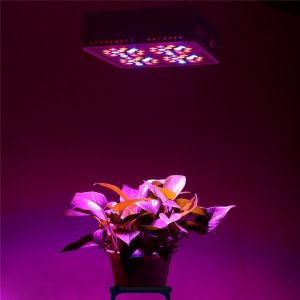 Cheap medical plants apollo 180w led grow light cheap price with CE, RoHS, FCC for sale