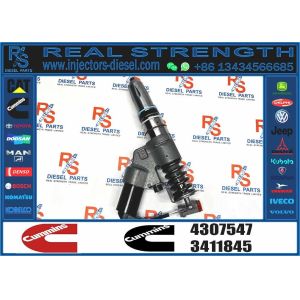 QSM11 ISM11 M11 Diesel Engine Common Rail Fuel Injector 3411761 4307547 4903084