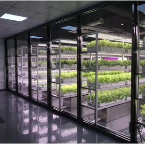 Department Shipping Container Greenhouse LED Lighting Solution for Vegetable