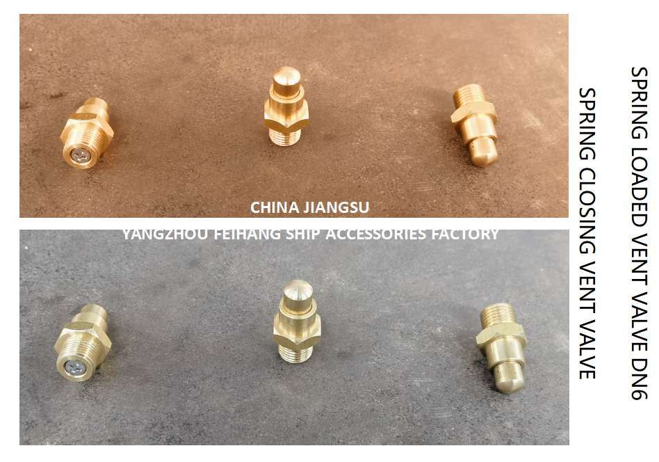 DN6 Spring Loaded Vent Valve with Thread M13 Connection Compliant with CB/T3778