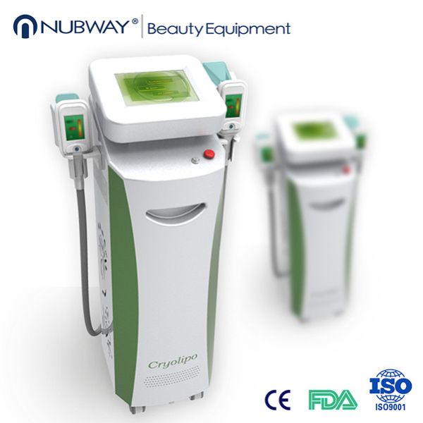 Quality 2015 new model fat freeze machine cryolipolysis for quick slim belly wholesale