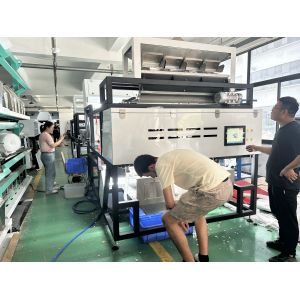 Cheap Optical WYDB4 Soapberry Color Sorting Machine for Soup Pods Color Separator Machine With High Sorting Capacity for sale