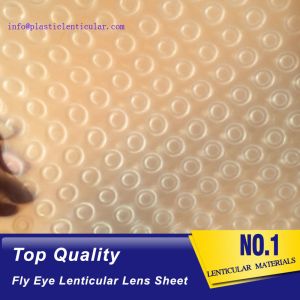 PLASTIC LENTICULAR Super translucent led light diffuser sheet PP 3d fly eye