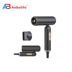 Professional Foldable Hair Dryer with BLDC Motor and Ionic Technology for Salon