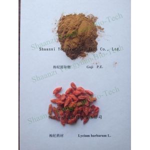 Wolfberry(Goji Berry) Extract, polysaccharide 40%, regulates immune system