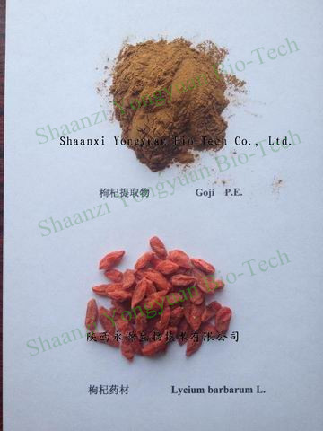 Wolfberry(Goji Berry) Extract, polysaccharide 40%, regulates immune system