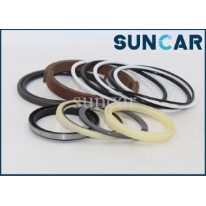 CX27B CX31B CX55BMSR Case PW01V00062R300 Swing/ Arm/ Bucket Cylinder Replacement