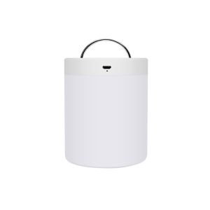 Portable Color Changing LED Night Lamp ABS Material With Handle DC 5V Lightweigh