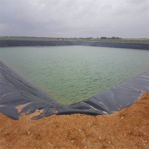 Contemporary Design Style HDPE Geomembranes for Fish Pond Liner 0.5mm-1.5mm