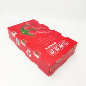 4mm Logistic Corrugated Plastic Storage Boxes Antistatic