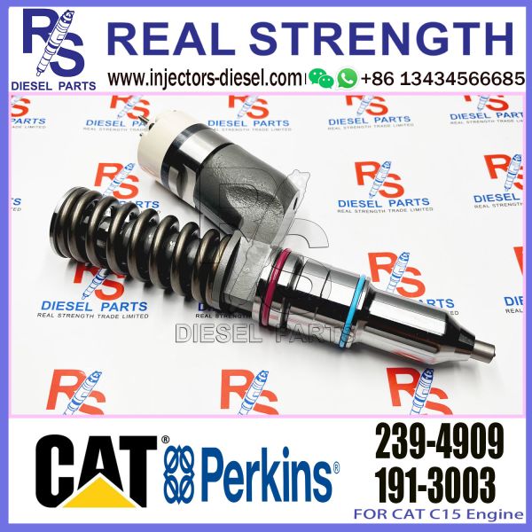 Fuel Injector 10R-1273 10R1273 10R-9236 249-0709 10R-8501 10R-1273 10R-9236 239-4909 for Caterpill cat C15