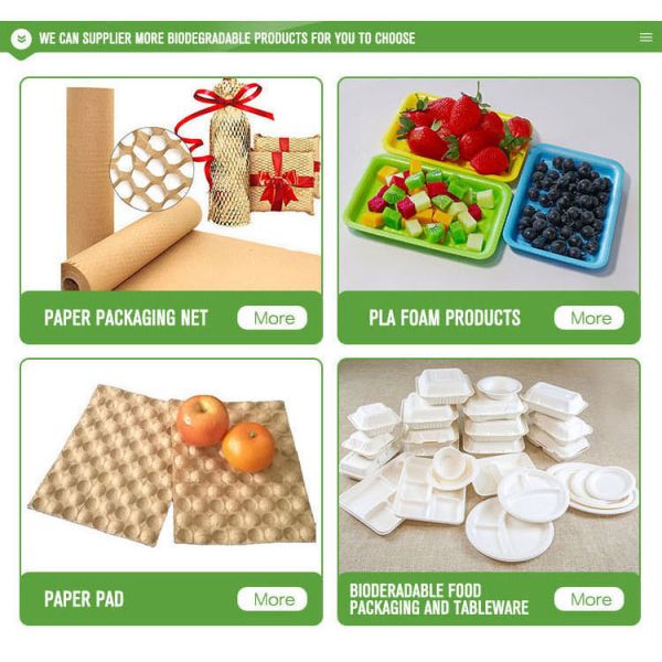 Biodegradable Paper Tray Fruits Packaging Kiwi Paper Moulded Pulp Caliber Tray Liner
