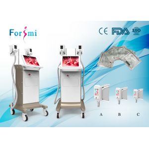 2018 new products Best Slimming Constant Temperature System 2 handles fat freezing Cryolipolysis Slimming Machine