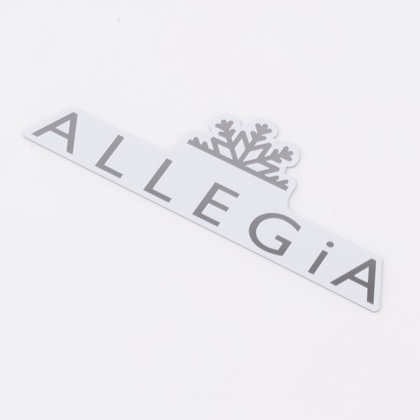 Customized Stainless Steel Label Plate with Self-Adhesive Back Glue and Customer's Logo