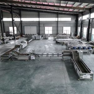 Customized Fruit Cleaning Machine and Vegetable Washing Equipment for Cleaning