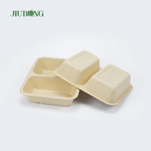 Disposable Biodegradable Sugarcane Clamshell Food Container 3 Compartment