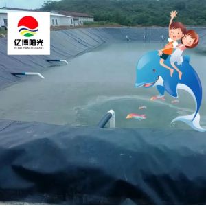 Waterproof HDPE Geomembrane for Fish Pond Projects 0.2mm-3mm Thickness