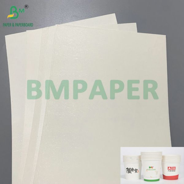 185gsm 210gsm White Kraft PE Coated Cup Paper For Making Paper Drink Cups 185gsm 210gsm White Kraft PE Coated Cup Paper For Making Paper Drink Cups