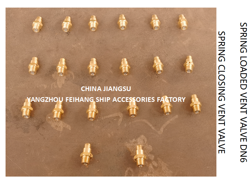 DN6 Spring Loaded Vent Valve with Threaded Ends Compliant with CB/T3778-1999