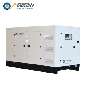 Natural Gas Generator with Silent Canopy for Home Use