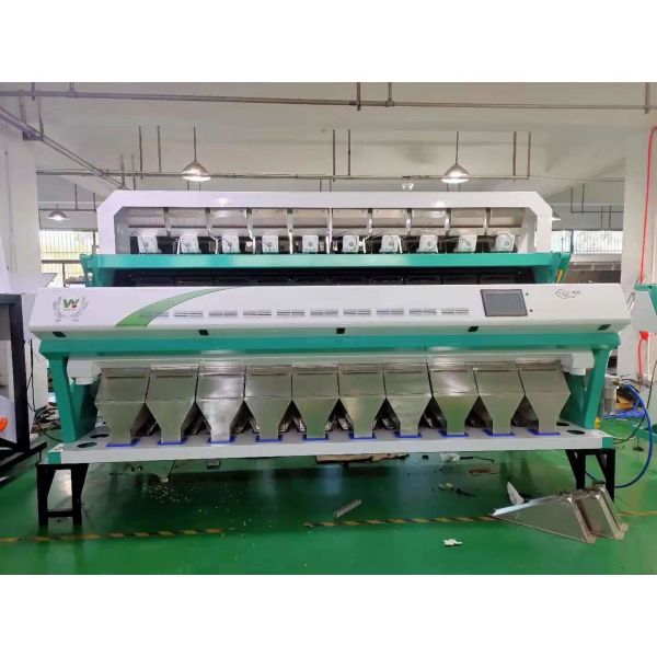 Quality Coffee Bean Sesame Seeds Color Sorter Machine With SMC Ejector wholesale