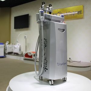 China PROMOTION!!! Hot sale high performance cryolipolysis freeze fat machine on sale