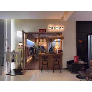 Universal Design Folding Window Featuring Voice-Control Integration and Adaptive