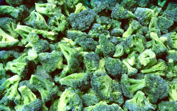 Quality Whosale High Quality Frozen Broccoli Fresh-Picked in Bright Colours for Cooking wholesale