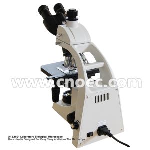 Laboratory Compound Optical Microscope Halogen Illumination Microscopes A12.1501
