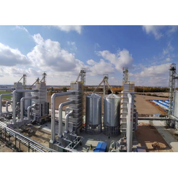 100T/D To 1500T/D Corn Rice Soybean Dryer Raped Seeds Clean Hot Blast