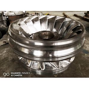 Water Energy Turbine Generator Runner With Customized Blade Length For