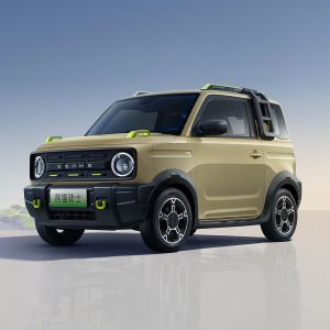 China Pure Electric Geely Panda Mini EV 2024 200km Panda Knight on sale
