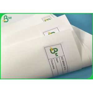 White Food Wrapping Paper 120 gr 144 gr Waterproof Paper Sheets Or Reel