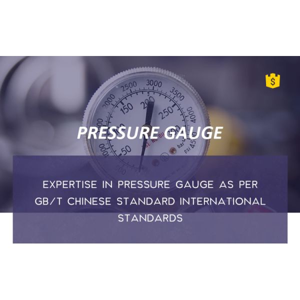 High quality with competitive price CE EN837-1 water air 1psi (0 - 600 Psi) Npt 1/4 Oil Water Pressure Gauge