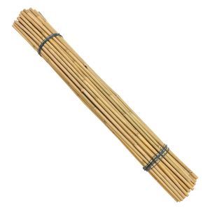 10cm Raw Bamboo Poles