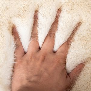 High Weight Plush Knitted Backing Technics Long Hair Pile Soft Faux Fur for and