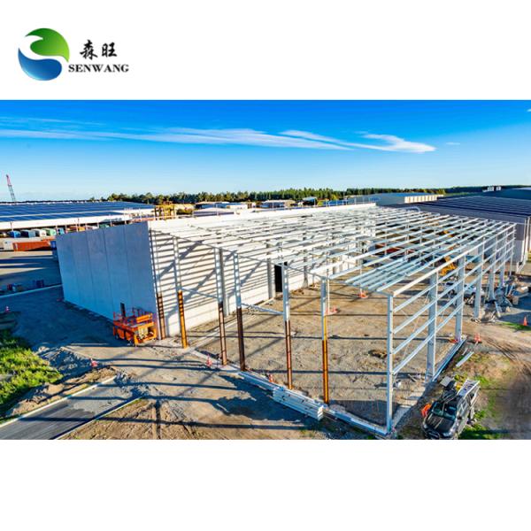 Quality ISO 9001 Certified Steel Structure Warehouse with Custom Wall Cladding wholesale