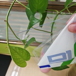 Plastic Polycarbonate Sheet Known for High Tensile Strength and Durability