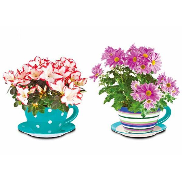 Garden Ceramic Jumbo Tea Cup Planters With Attached Saucer Stripe / Polka Dots